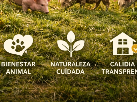 Producción Responsable